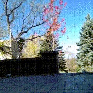 每天一贱：妹子挤完地铁，裤子就成这样了