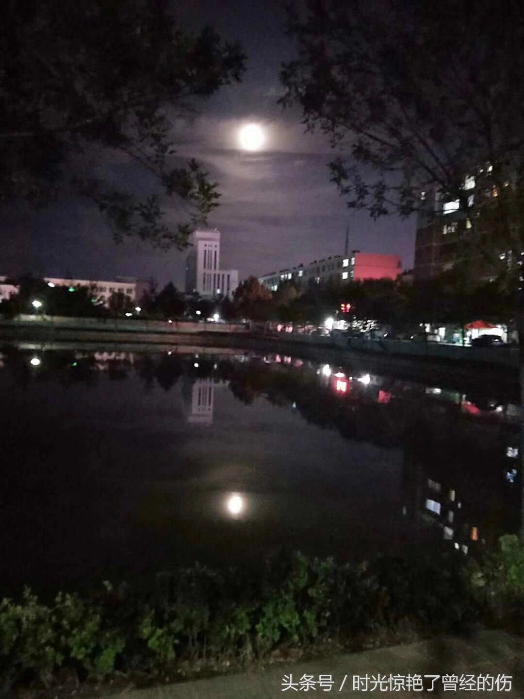 皎洁的圆月纯清如水，赋予人们吉祥与期盼在清馨的月光下，我邀