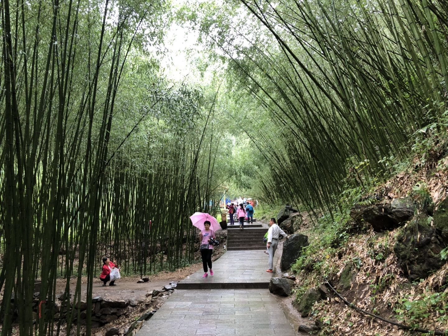 人间仙境洛阳栾川老君山,河南旅游景点推荐洛阳重渡沟