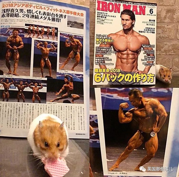 捧着仓鼠晒肌肉……这位“杀手”大叔的画风真是健身界的一股清流