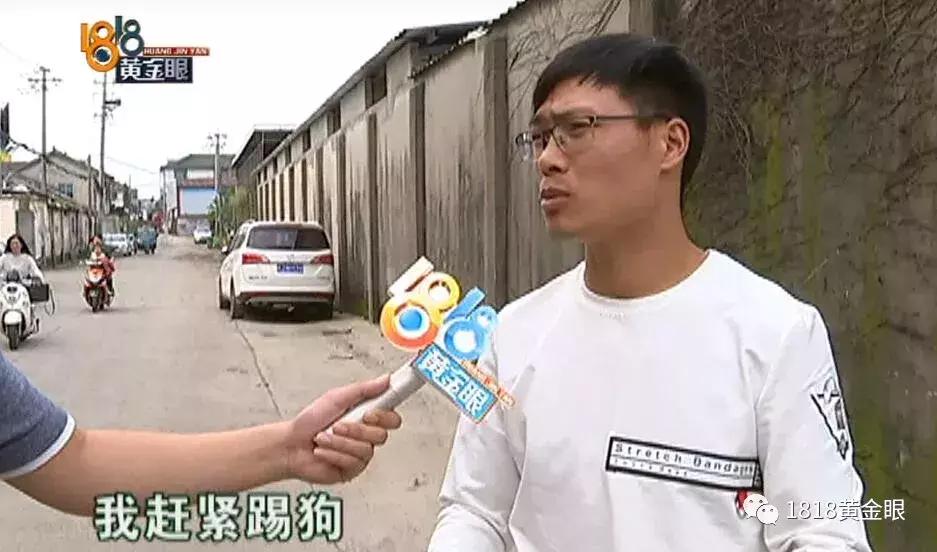 湖州6岁男童被狗咬伤,十几天后没了,确诊为狂犬病,听医生讲讲被狗咬伤后怎么处理