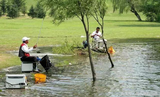 秋季鲤鱼开口最佳时间,秋季鲤鱼口轻怎么办