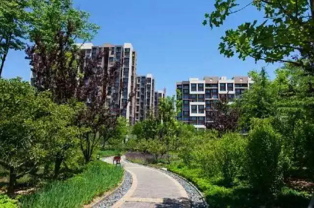 滨州面朝大海春暖花开,海景房滨州