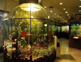 上海旅游景点有哪些地方最好玩,上海100公里左右有哪些旅游景点