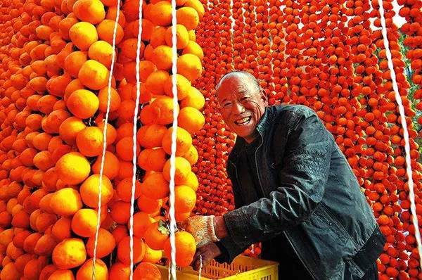 农秀才：农业农村部推荐100个休闲农业和乡村旅游精品景点线路