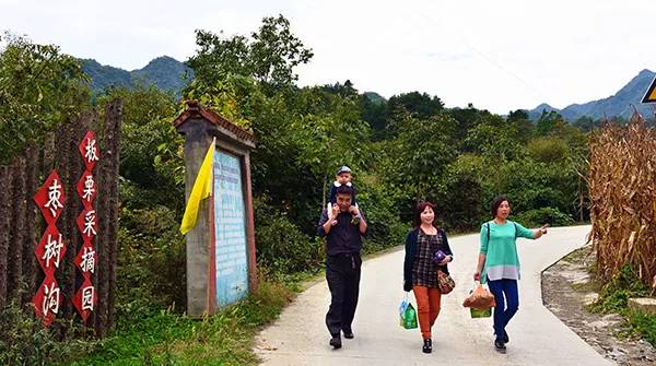 农秀才：农业农村部推荐100个休闲农业和乡村旅游精品景点线路