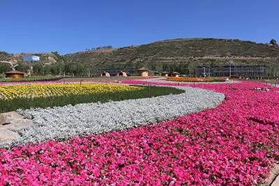 农秀才：农业农村部推荐100个休闲农业和乡村旅游精品景点线路