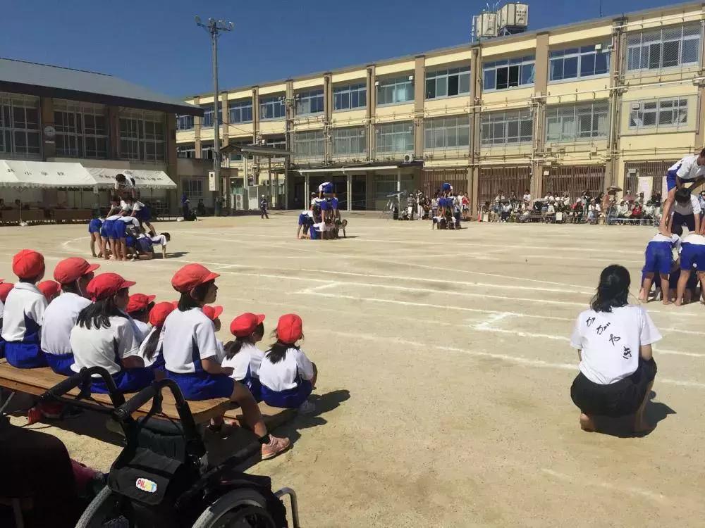 职业妈妈和全职妈妈,职业妈妈与全职妈妈