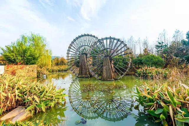 跟着萌宠过国庆，准备好迎接惊喜了吗？