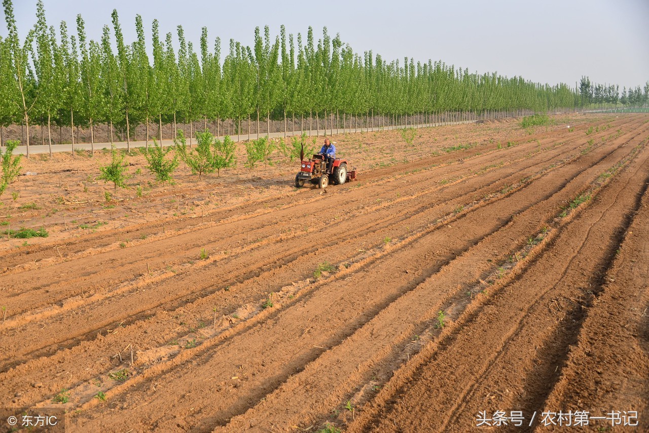 强拆农民违建房屋需要什么程序,村委会有权利强拆村民房屋吗