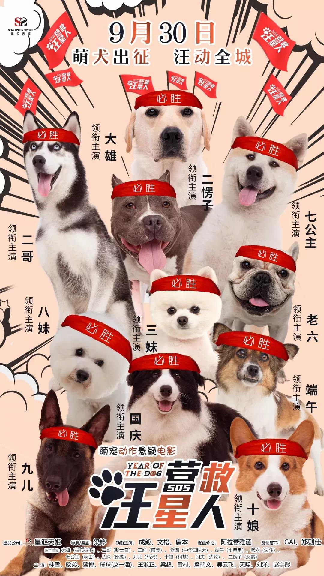 一周影讯,任你挑选