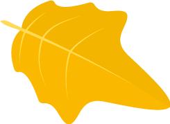 猴王出世作者是吴承恩,西游记猴王出世吴承恩电影