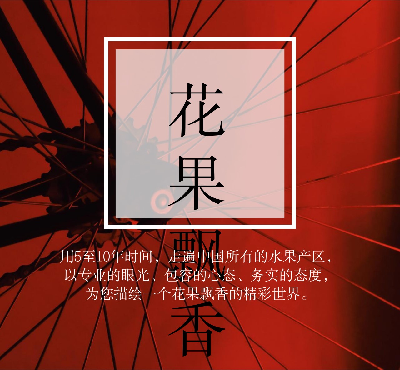 问曹老师,究竟哪些地方才适合发展软籽石榴?