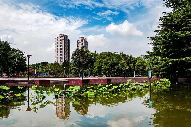 淄博临淄区光荣榜,临淄全国百强区排名