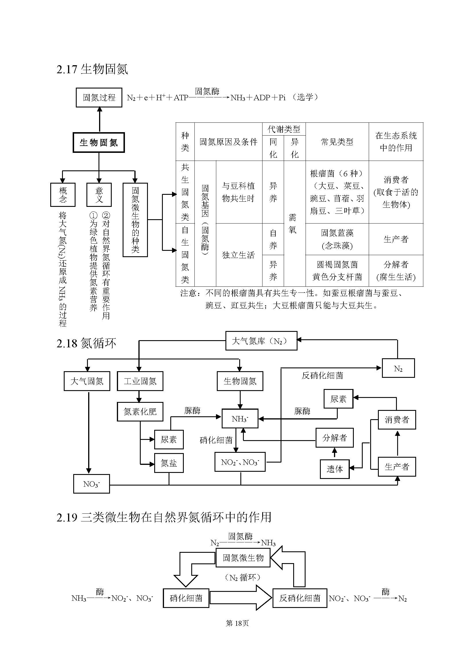 高中生物最基础的知识点,高中生物简单的知识梳理