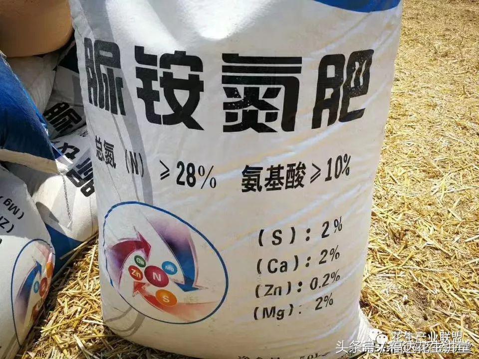 花生茬种小麦麦苗发黄是怎么回事,夏花生出苗不齐怎么回事