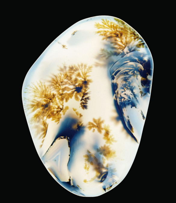 天价海洋玉髓图案,玉髓市场价多少