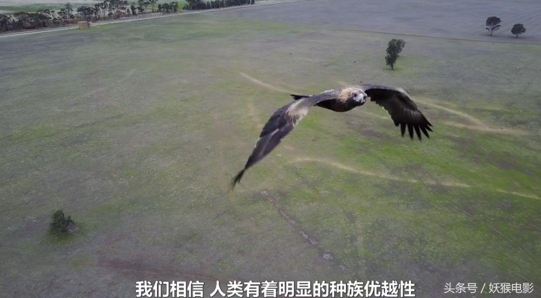 生活究竟有多么残酷,如果你觉得生活很苦不妨看一看