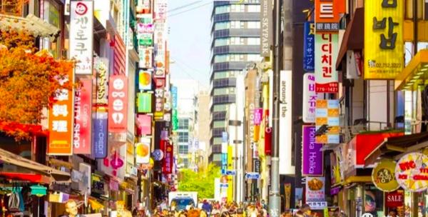 济州岛一年往返12次,到济州岛旅行行程