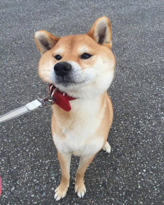 早安坚持励志正能量的句子朋友圈,晚上加班发朋友圈励志的精美句子