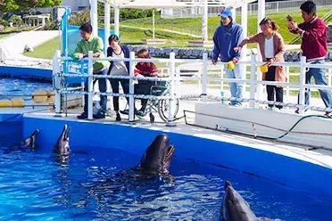 十一后再出游，轻松省出1部iPhoneXS！