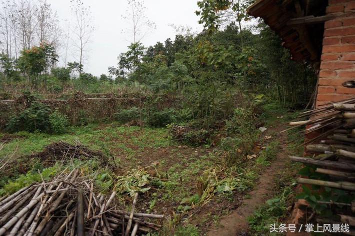 关公父子是怎么遇害的,关公败走麦城如何被杀