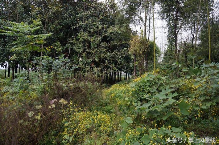 关公父子是怎么遇害的,关公败走麦城如何被杀