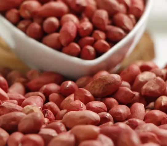 花生空壳怎么办，做好这4点，不仅颗颗饱满还高产