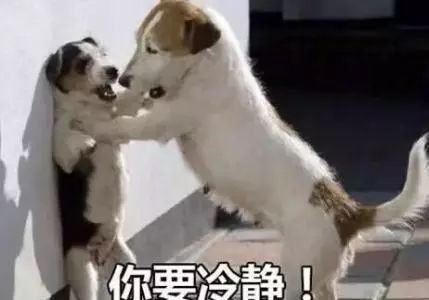 2023年济南市平均工资,济南平均工资一览表