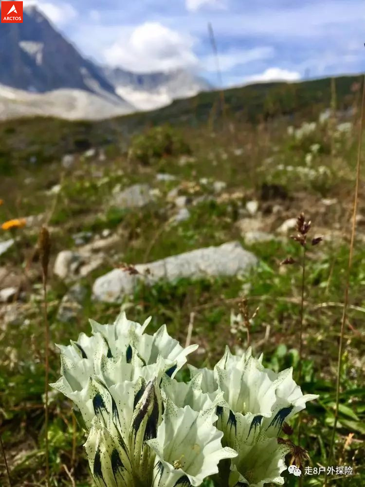 听从内心的声音-孟克德古道轻装穿越