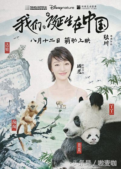 推荐了关于中国历史的8部纪录片,中国历史十大必看纪录片