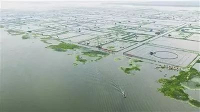 超市卖假货是真的吗,大超市卖假酒吗