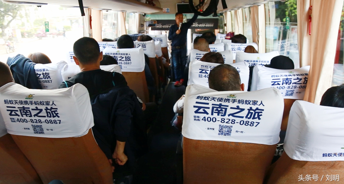 蚂蚁旅游专线云南之旅,蚂蚁旅游行