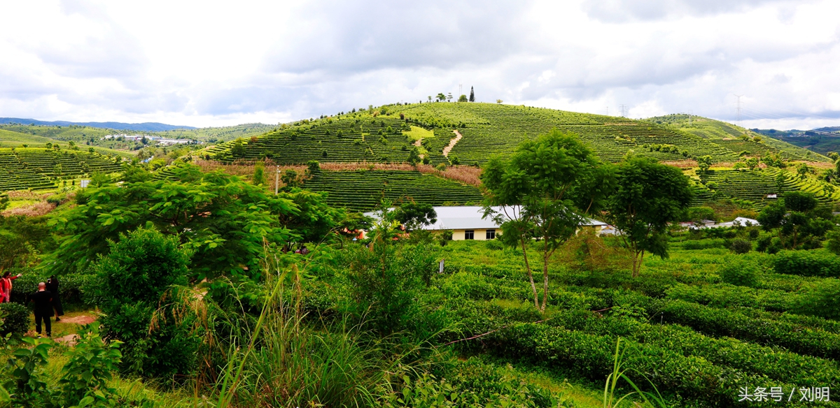 蚂蚁旅游专线云南之旅,蚂蚁旅游行
