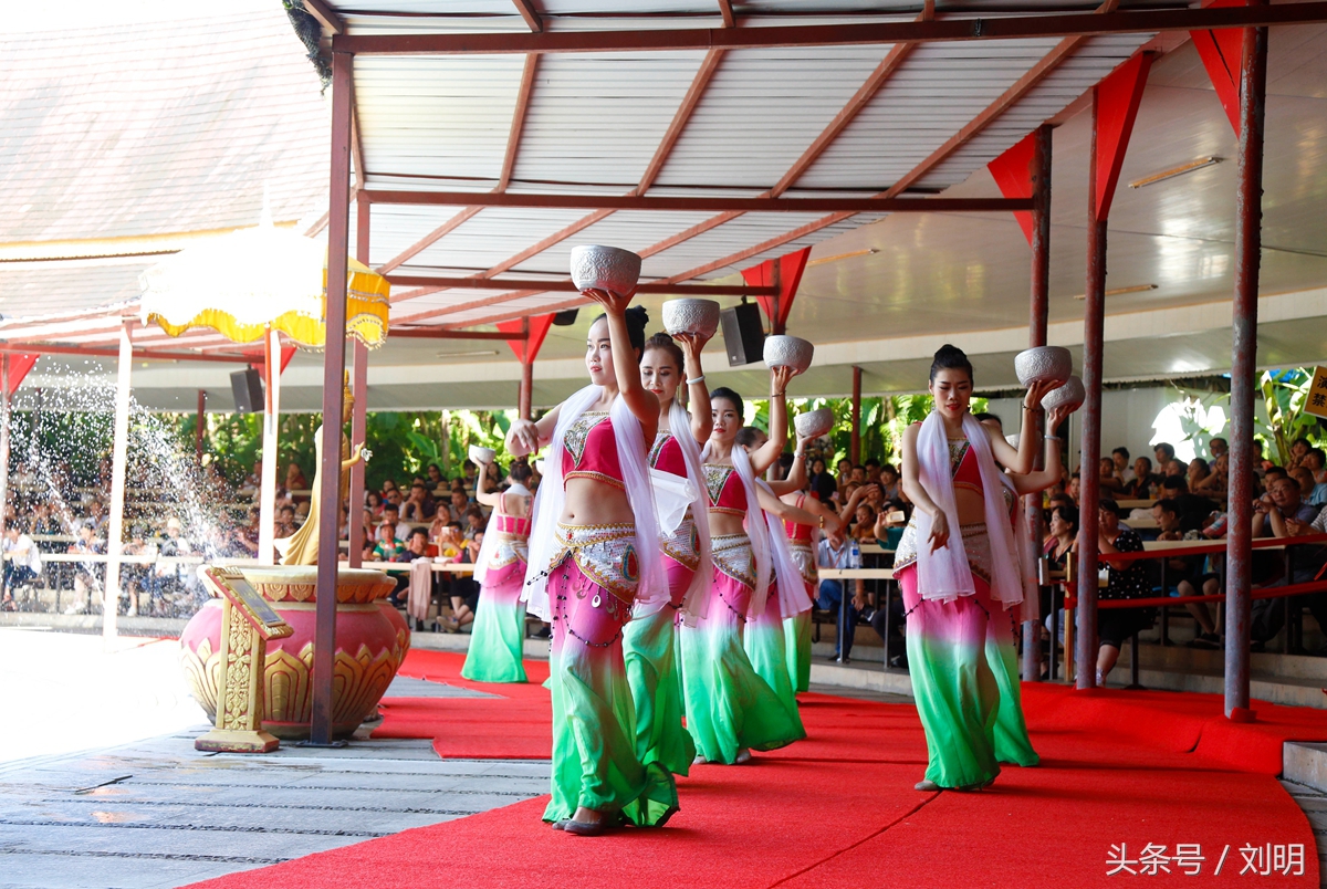 蚂蚁旅游专线云南之旅,蚂蚁旅游行