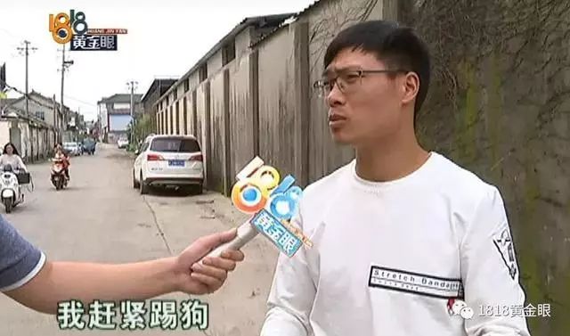 7岁男童被狗咬狂犬病发作死亡,狗咬伤小孩打狂犬疫苗后死亡