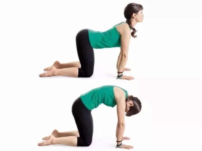 猫牛式动作讲解,猫牛式正确练习和错误练习