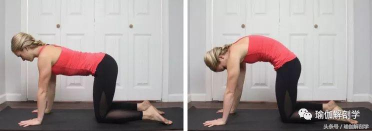 十大最好的盆底肌锻炼方法,女人盆底肌强壮有力的好处