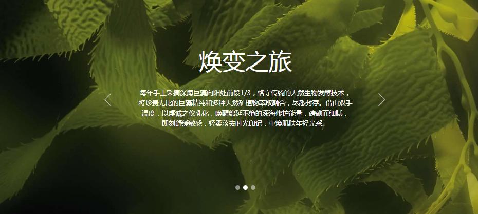 lamer海蓝之谜太贵了吗,lamer海蓝之谜何时进入中国