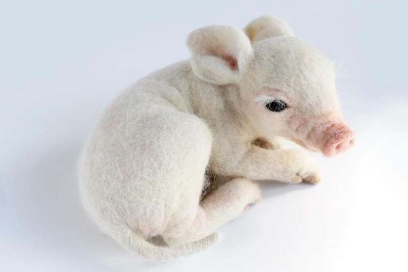 第一眼竟然以为它会动！26个好像有灵魂附体的拟真羊毛毡