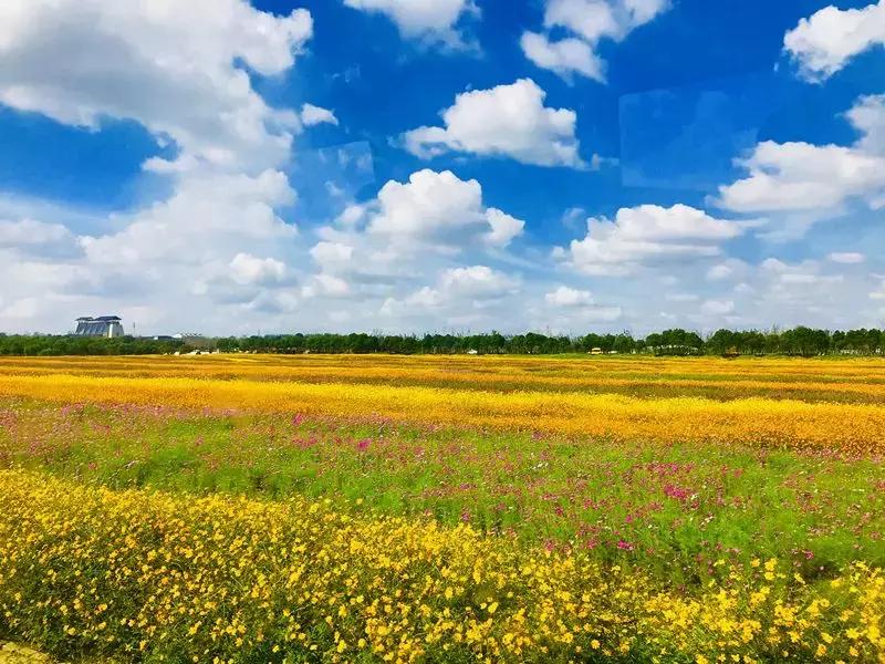 提到扬州你想到什么,提到泰州你会想到什么