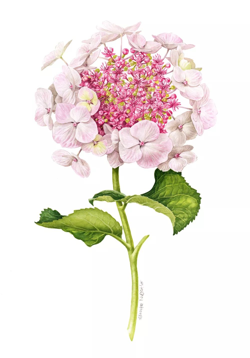 老中医5种中药治疗方法,中药治病最新方法