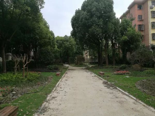 “闵行的好,华漕的美,我三天三夜也说不完!”为什么居民写信这样说……