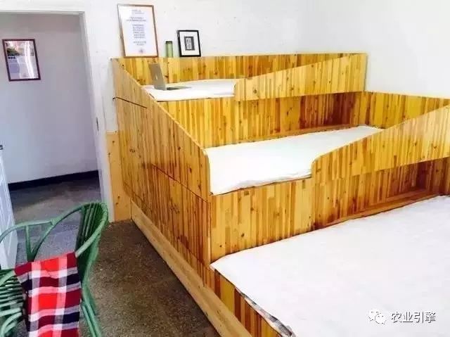 冷清的农家院被设计师折腾坏了成了京城第一精致生态农场