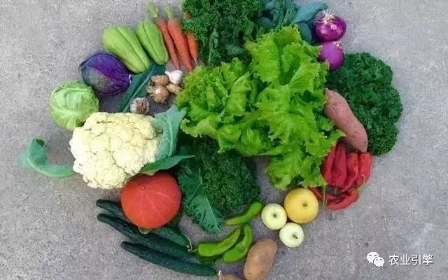 冷清的农家院被设计师折腾坏了成了京城第一精致生态农场