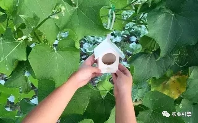 冷清的农家院被设计师折腾坏了成了京城第一精致生态农场