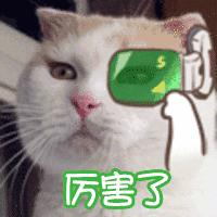 新雨自然学校·第一期Day1：快来建造属于自己的生态花园吧