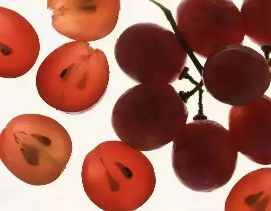 澳洲美白丸推荐,澳洲美白丸真的有效吗