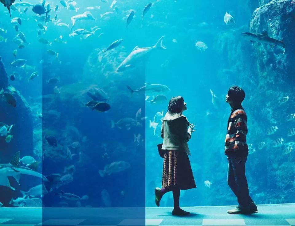 最是天凉好读书，24本精彩好书一并奉上！