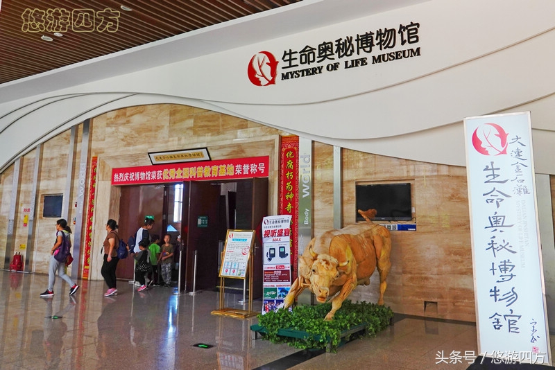 这个博物馆的展品略显重口味，胆小者不敢看，揭示了生命的奥秘！